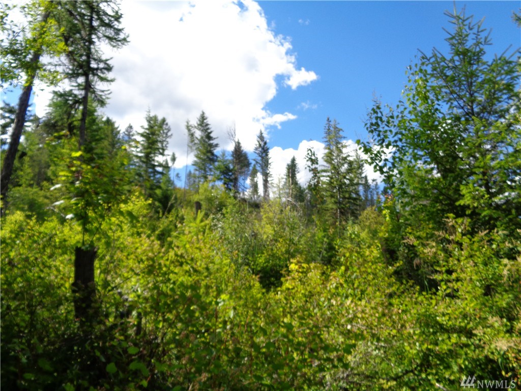 0 Lot 16 Fourth of July Creek Rd Unit  Danville WA 99121