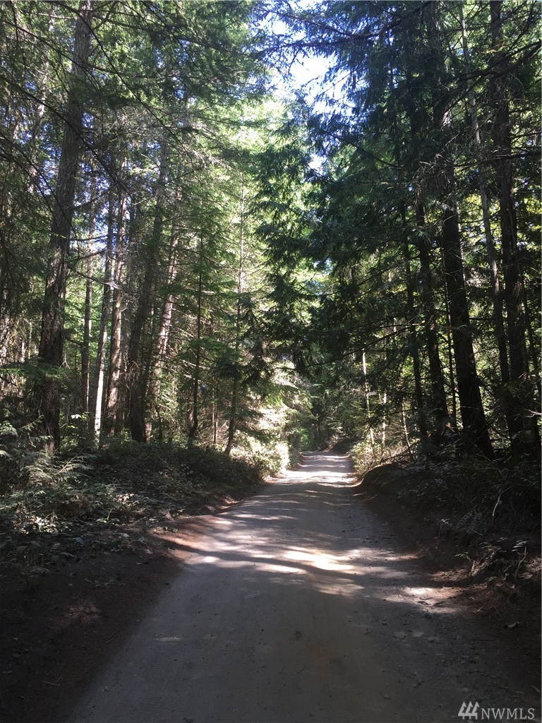Gravel Pit Rd Waldron Island WA 98297