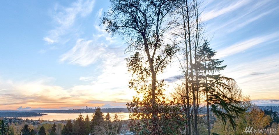 11403 NE 94th St Kirkland WA 98033