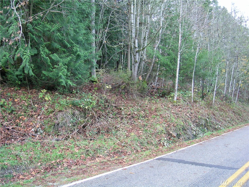 341 W Alder St Unit  Glenhaven WA 98284