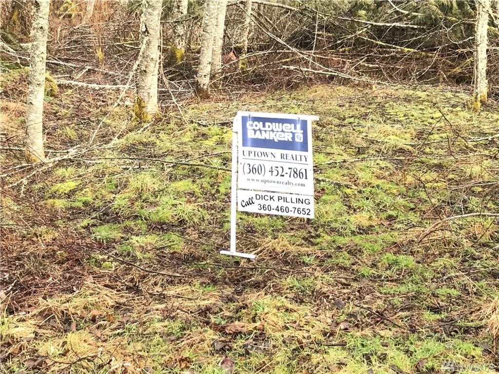 999 Shire Ln Unit  Joyce WA 98343