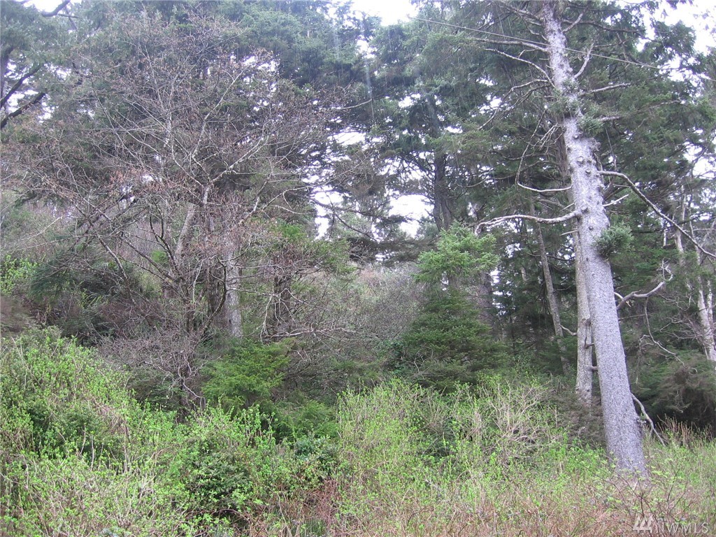 5476 State Route 109 Taholah WA 98587
