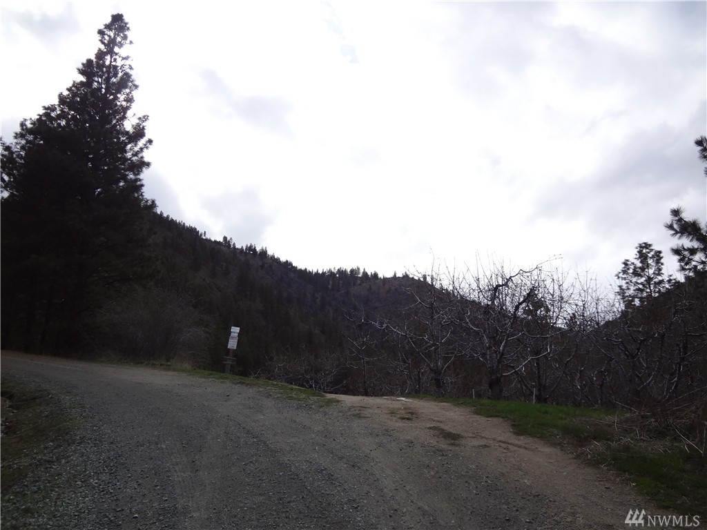 420 Mad River Rd Ardenvoir WA 98811