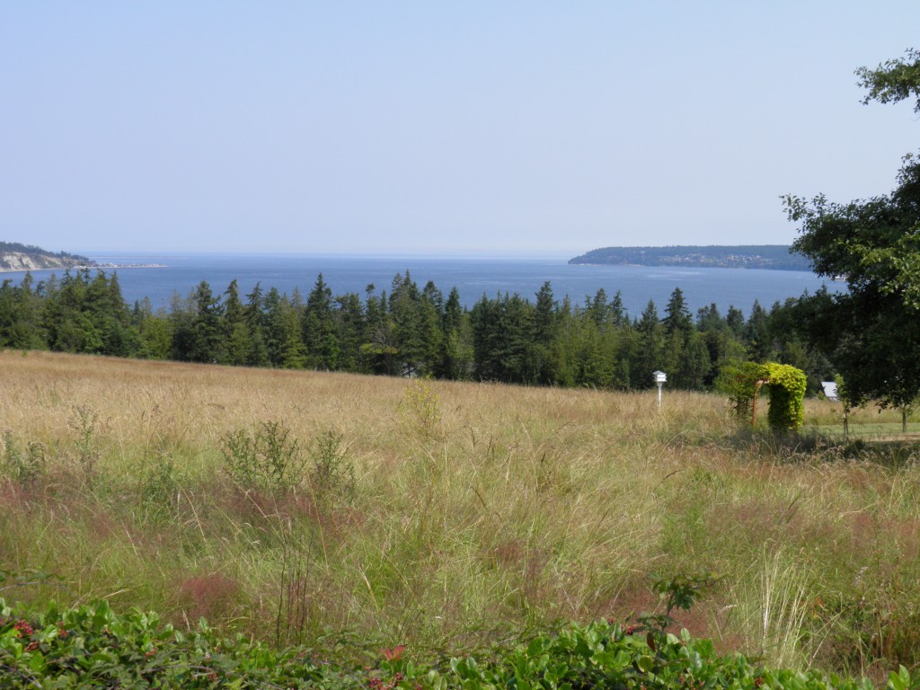 9999999 Old Gardiner Rd Gardiner WA 98382