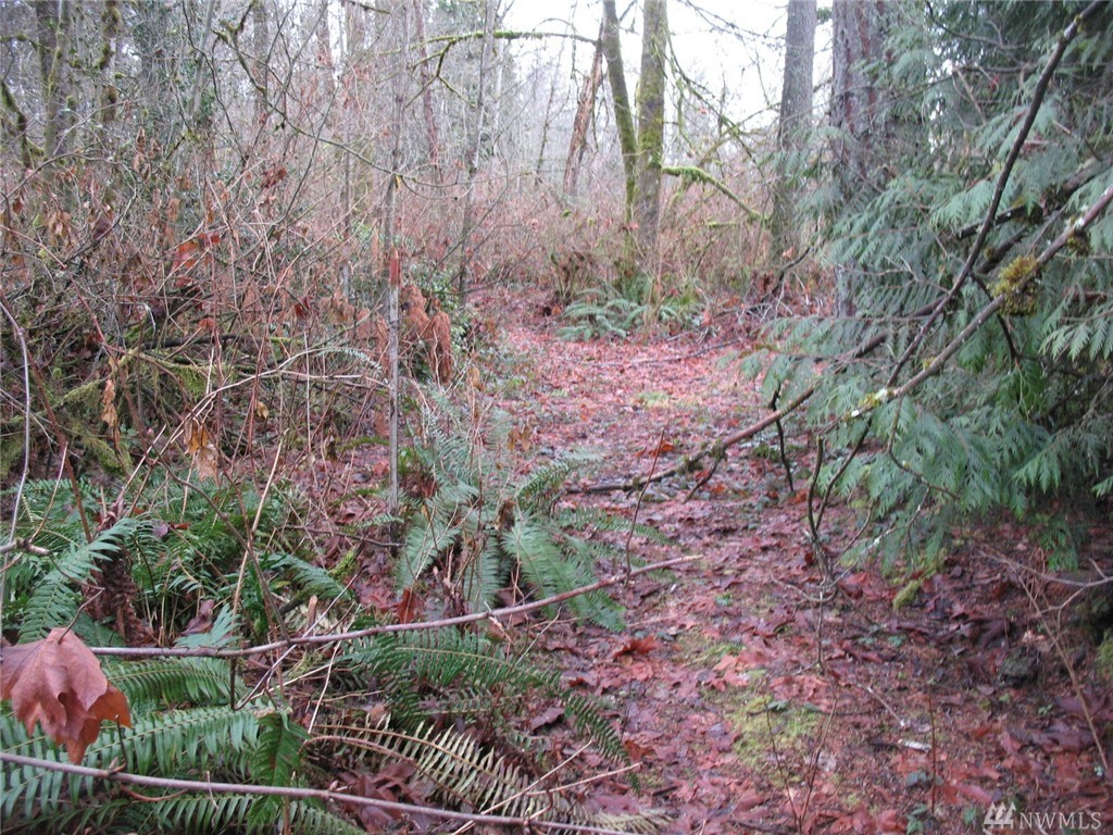 17600 83 Ave SE Clearview WA 98296