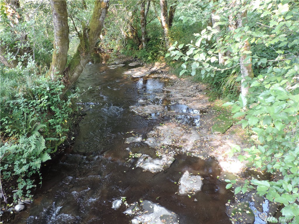 Walville Creek Rd Lebam WA 98572