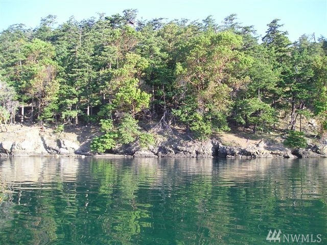 3 Smugglers Rowe Henry Island WA 98250