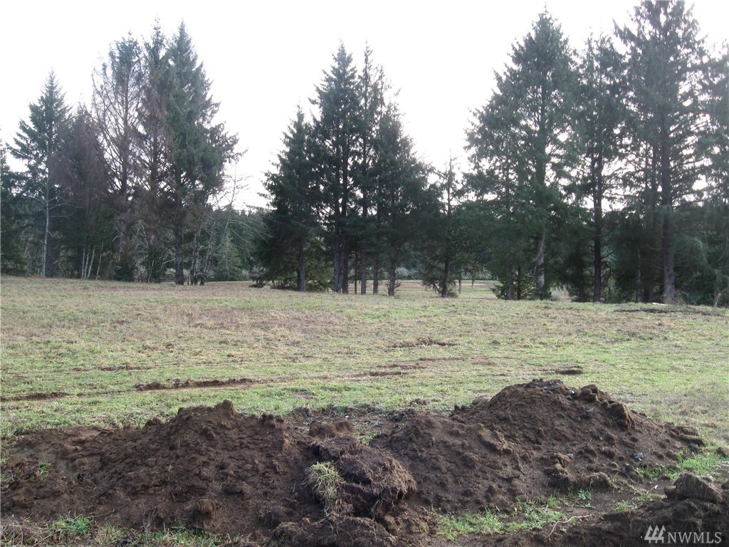 0 Lot 12 Palix Ln Unit  Bay Center WA 98527