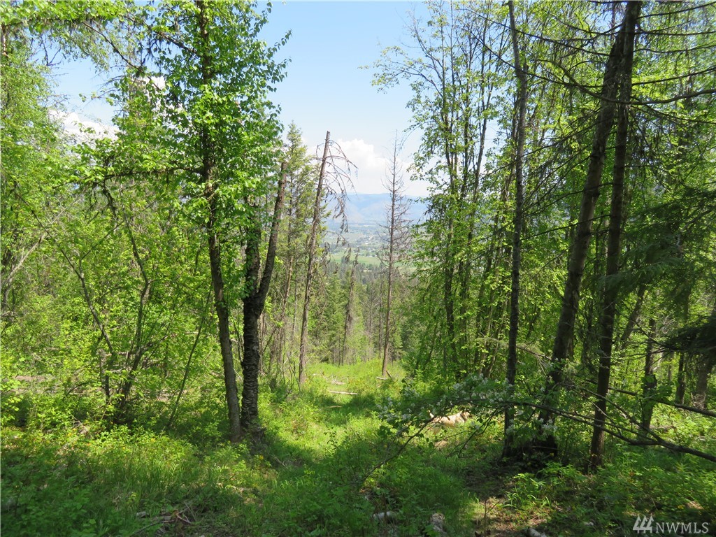 0 lOT 26 4th of July Creek Rd Unit  Danville WA 99121
