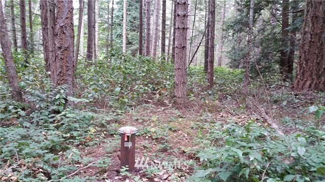 1 Eugene Lane Waldron Island WA 98297