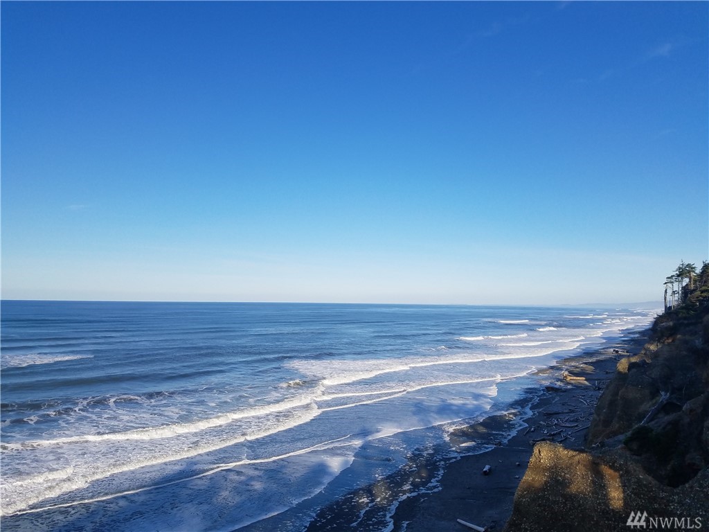 1400 Cape Elizabeth Rd Unit  Quinault WA 98331