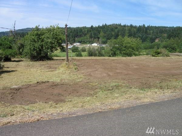 121 Carrolls Ave Carrolls WA 98609