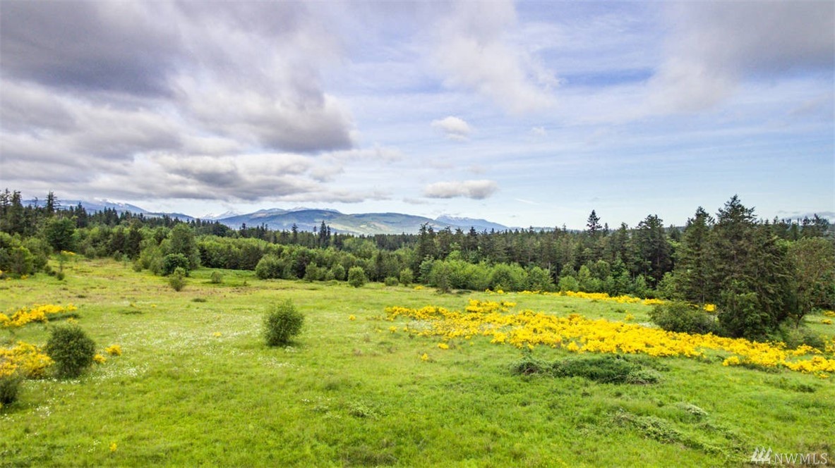 9999 Gardiner Beach Rd Gardiner WA 98382
