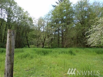 355 #A Lost Valley Rd Boistfort WA 98538
