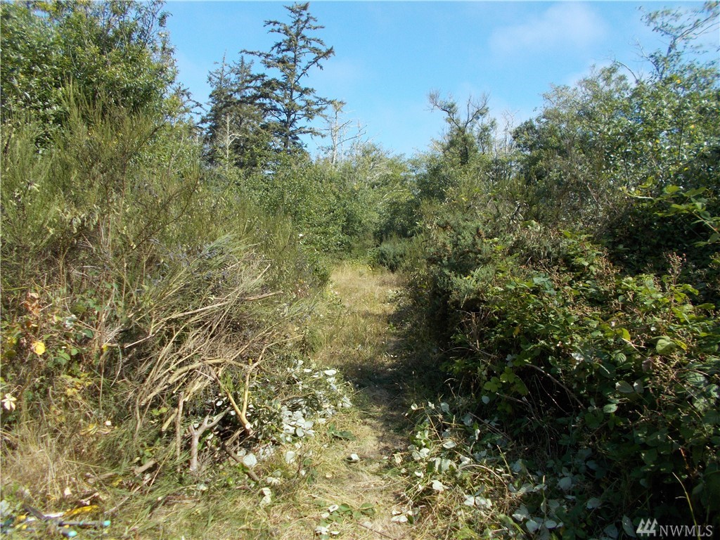 3798 Larkin Rd Unit  North Cove WA 98547