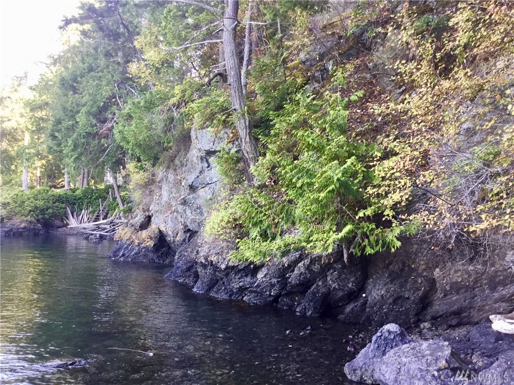 0 Lot 75 Rocky Rd Unit  Crane Island WA 98243