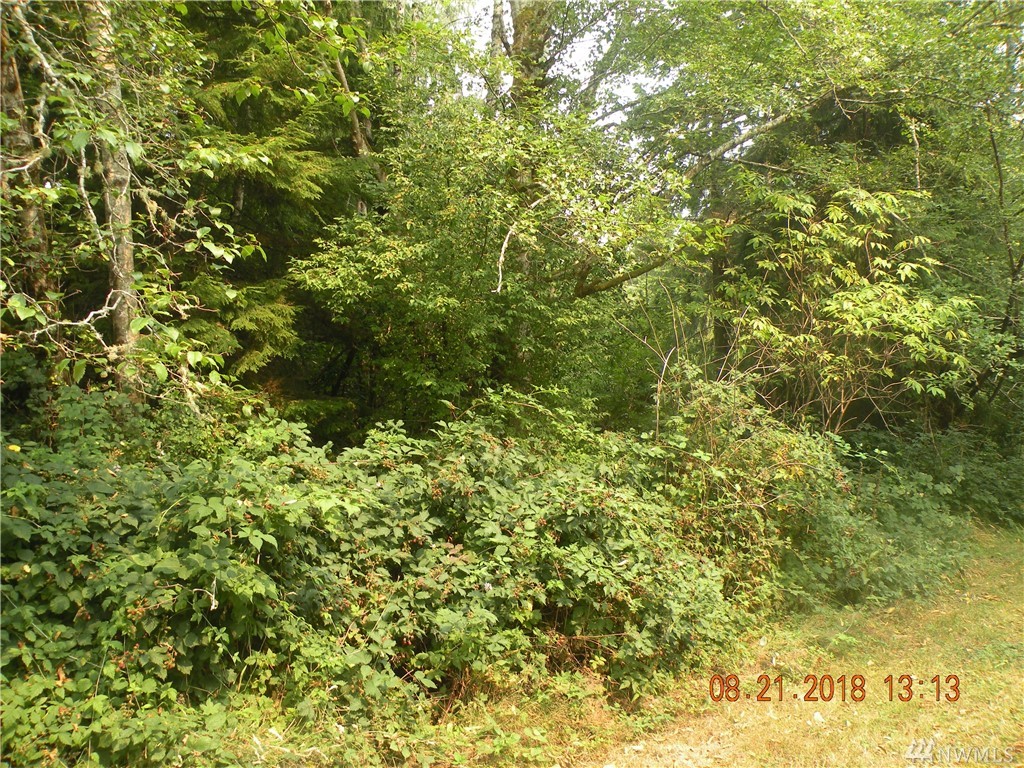 6 Willa view Ln Bay Center WA 98527