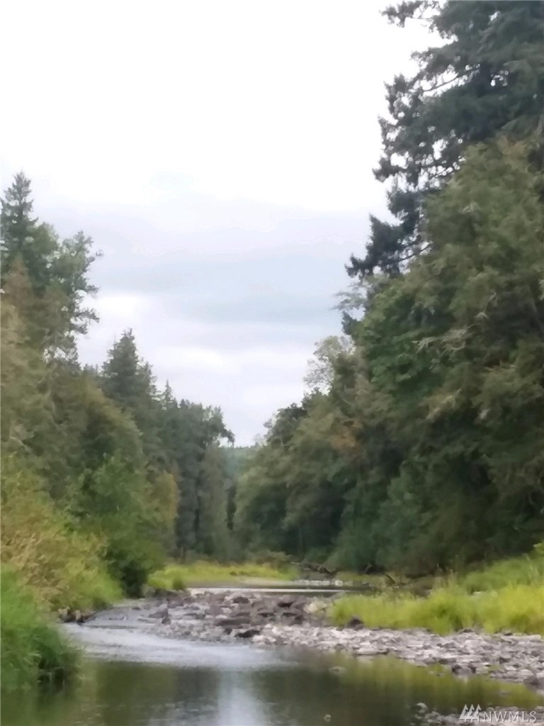 River Rd Boistfort WA 98532