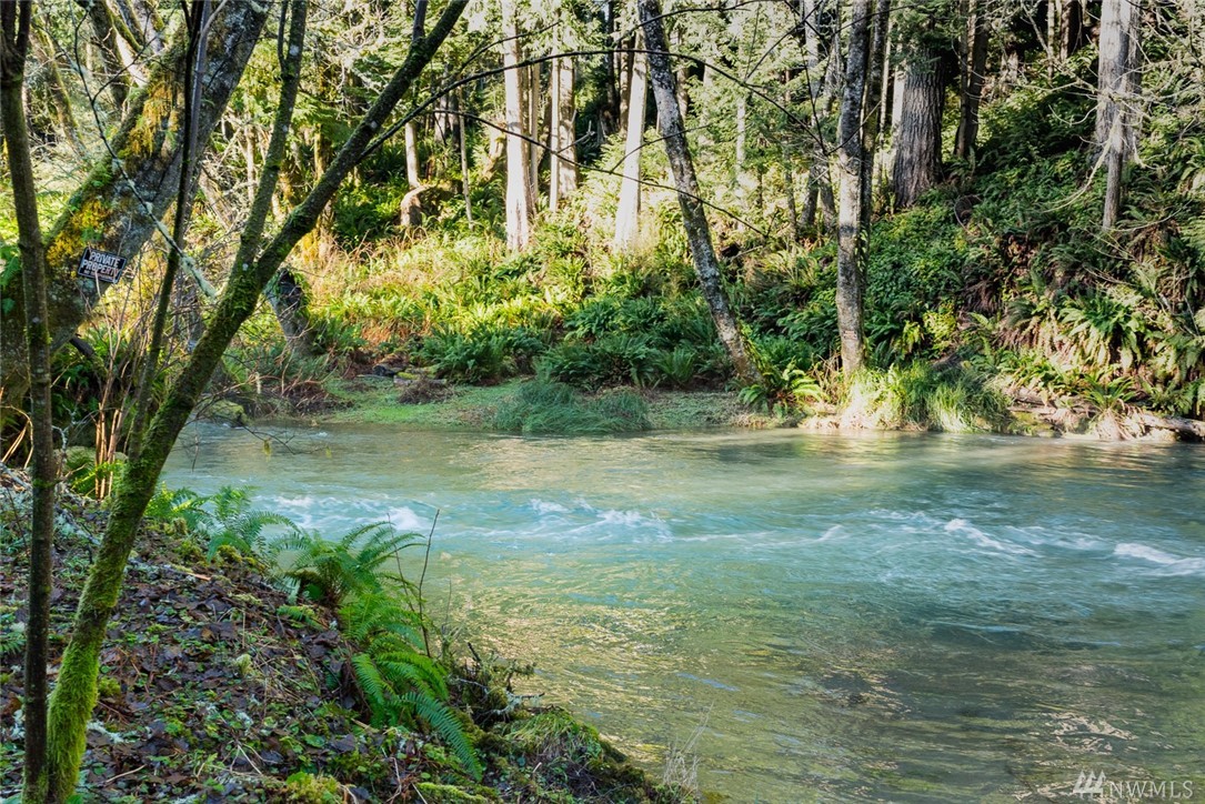 9999 E Lyre River Rd Joyce WA 98363