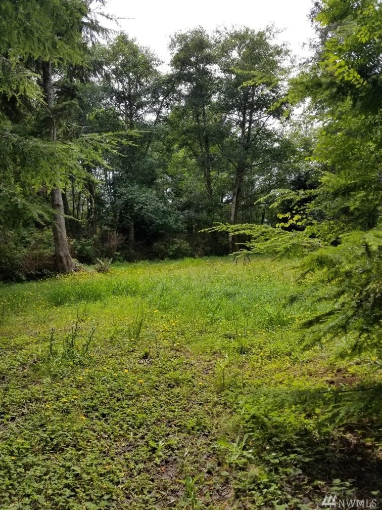 23 Willaview Ln Bay Center WA 98527