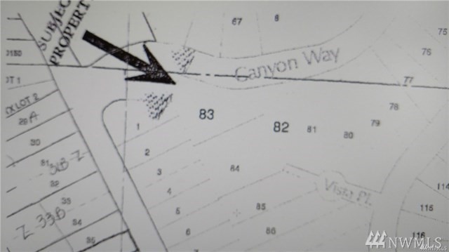 Canyon Way Taholah WA 98587