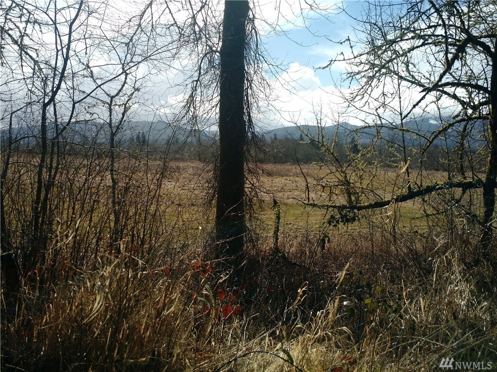 Kahout Rd Boistfort WA 98532