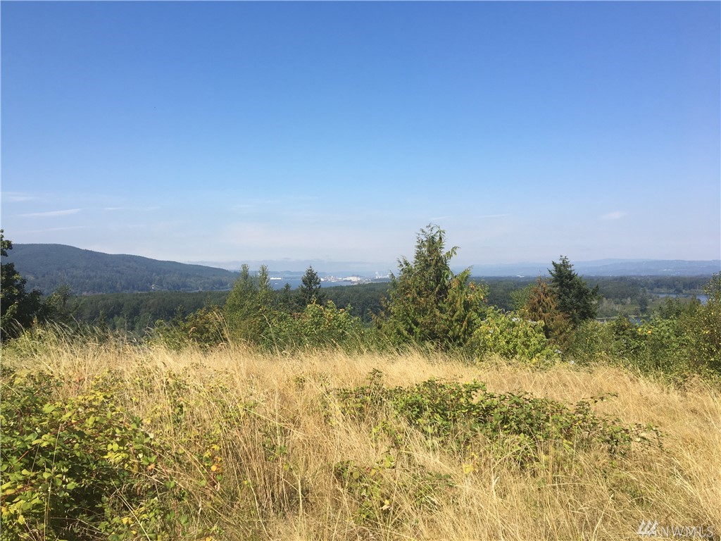 258 Lasalle Carrolls WA 98626