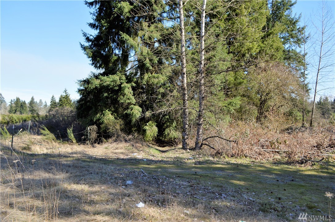 9311 356th St S McKenna WA 98558