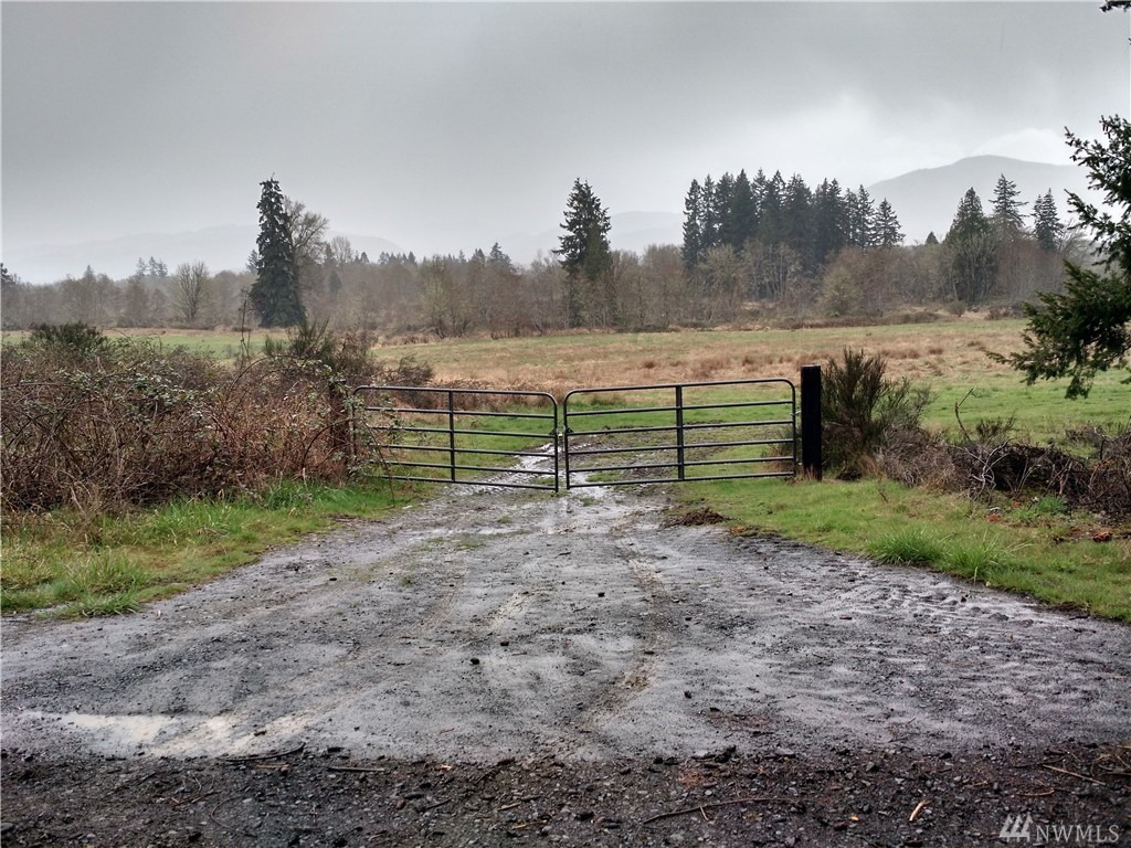 Kahout Rd Boistfort WA 98532