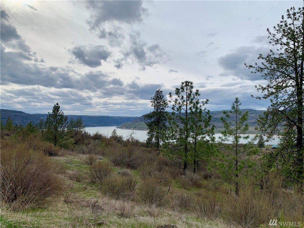 39325 Gunsight Bluff N Unit  Seven Bays WA 99122