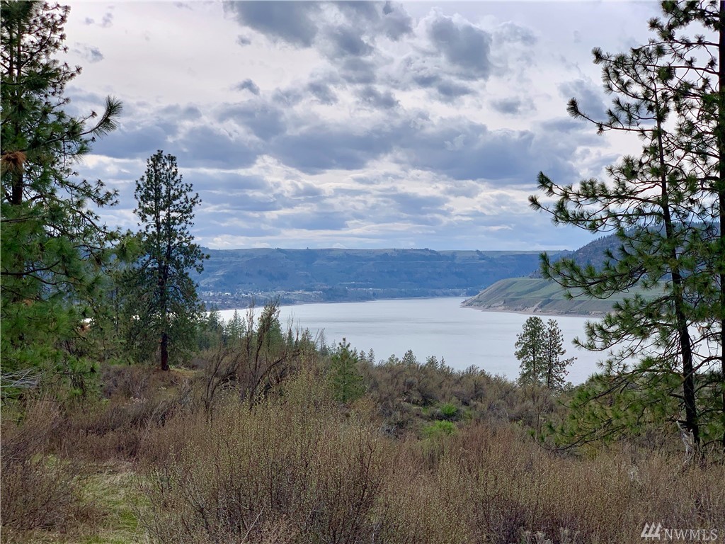39275 Gunsight Bluff N Unit  Seven Bays WA 99122