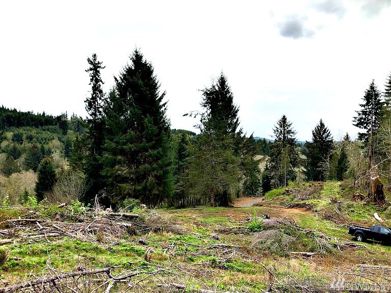 259 Hull Creek Rd Grays River WA 98621