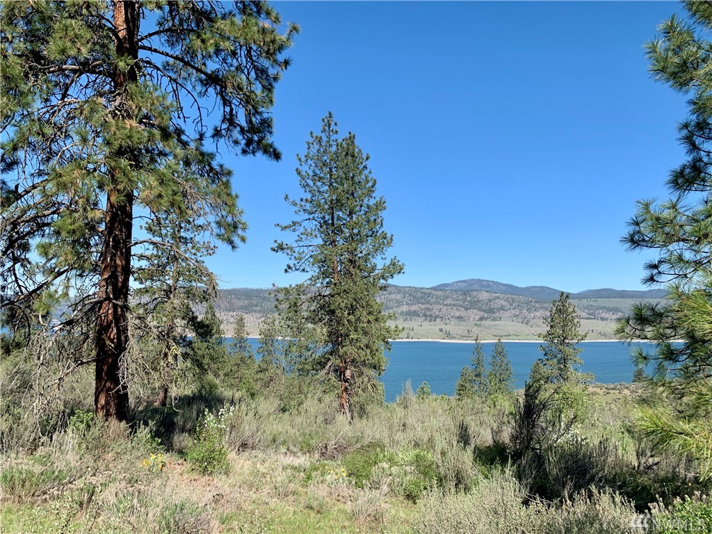 39175 Gunsight Bluff N Unit  Seven Bays WA 99122