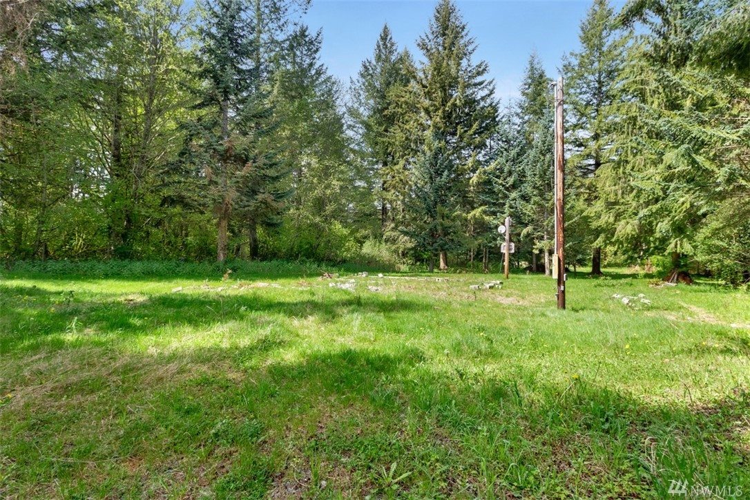 21328 SR 706 E Elbe WA 98330