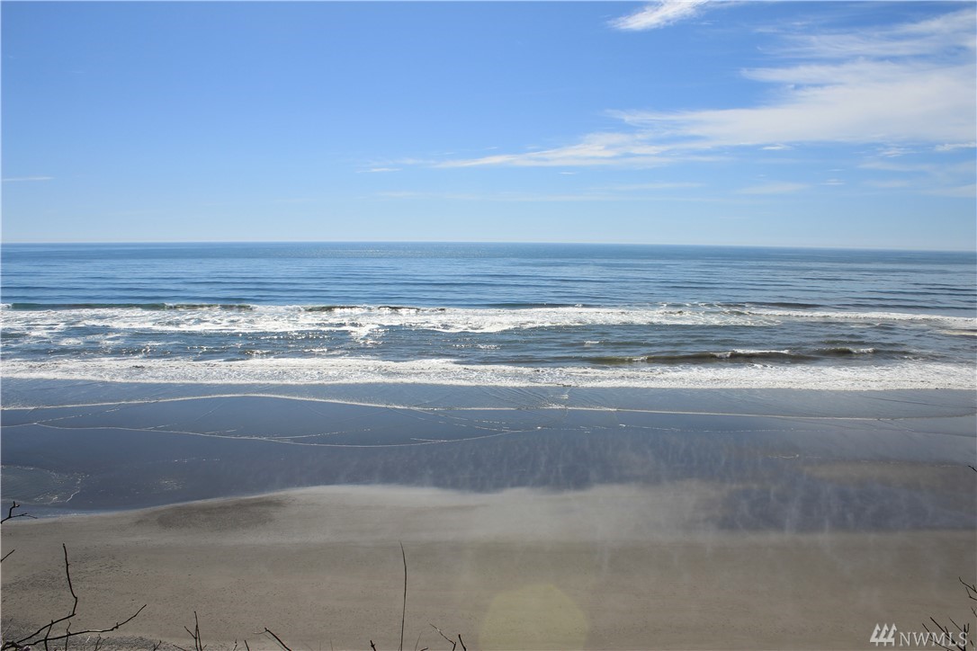 5050 Cape Elizabeth Dr Unit  Quinault WA 98331