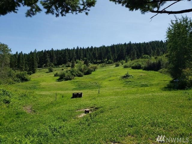 0 NNA Deadman Hill Rd Dryden WA 98821