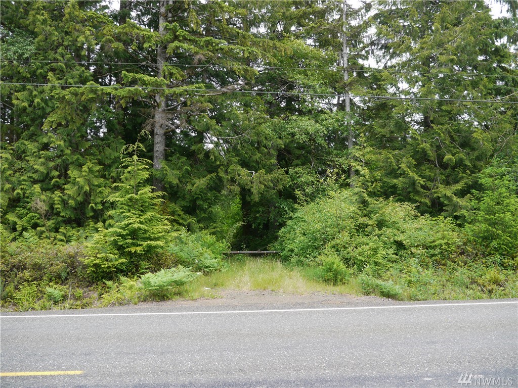 0 MP 131 Ocean Beach Rd Copalis Crossing WA 98536
