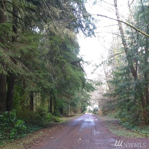 19 Willaview Bay Center WA 98527