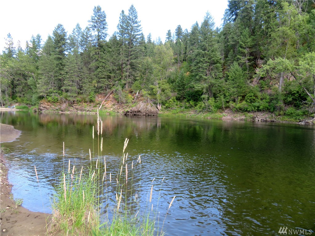 0 Lot 1 Highway 21 N Unit  Danville WA 99121