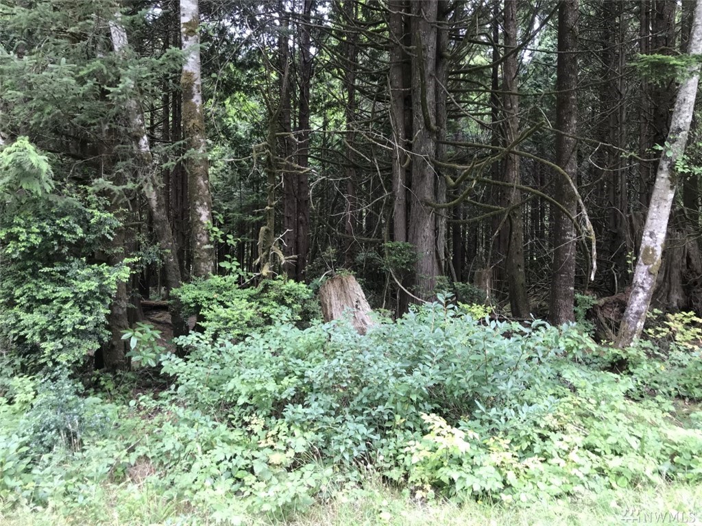 Grenville Dr S Taholah WA 98587