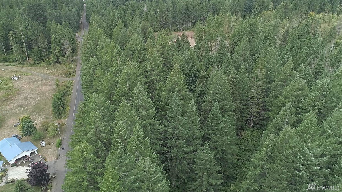 Hemlock Rd Carson WA 98610