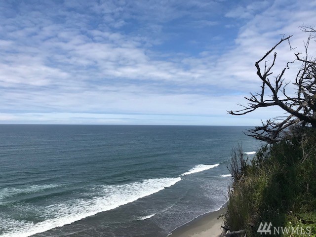 999999 HWY 101 Quinault WA 98575