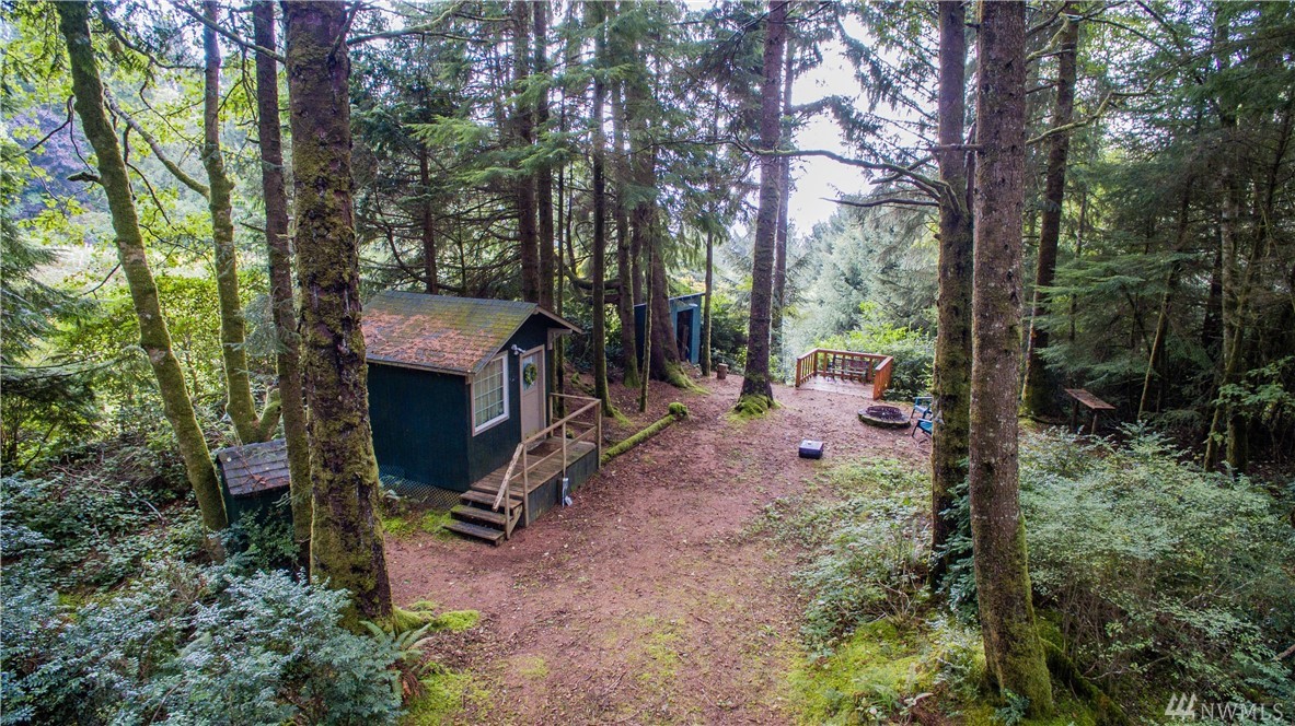 44 Ocean View Dr N Unit  Taholah WA 98587