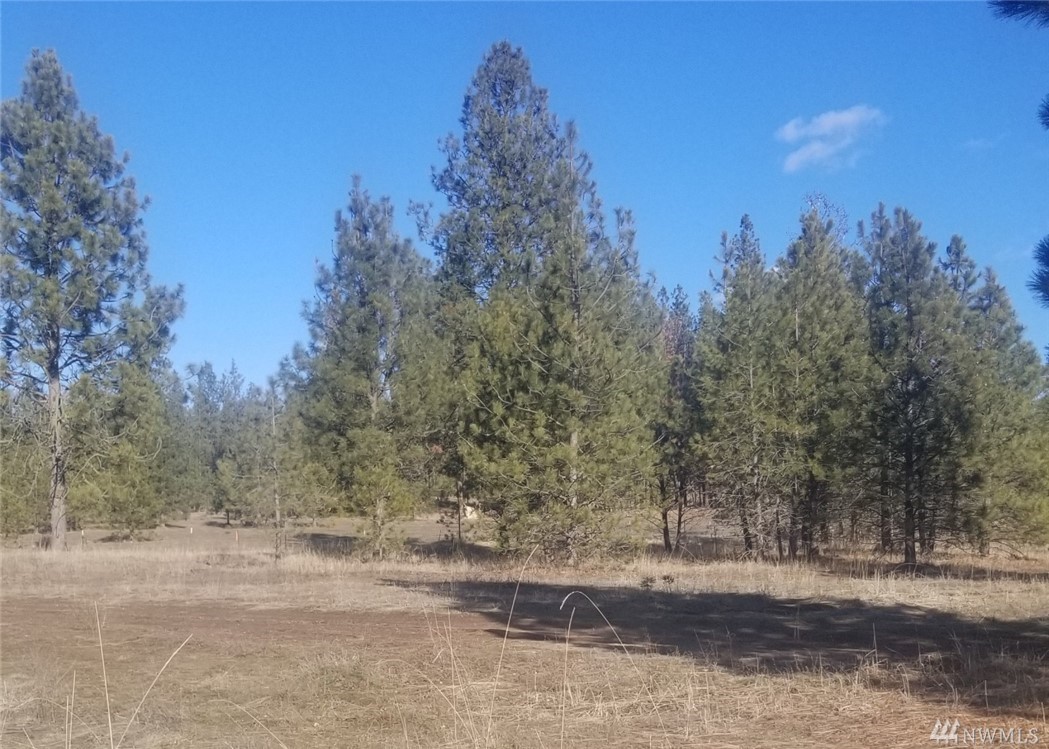 5428 Bishop Rd Tumtum WA 99034