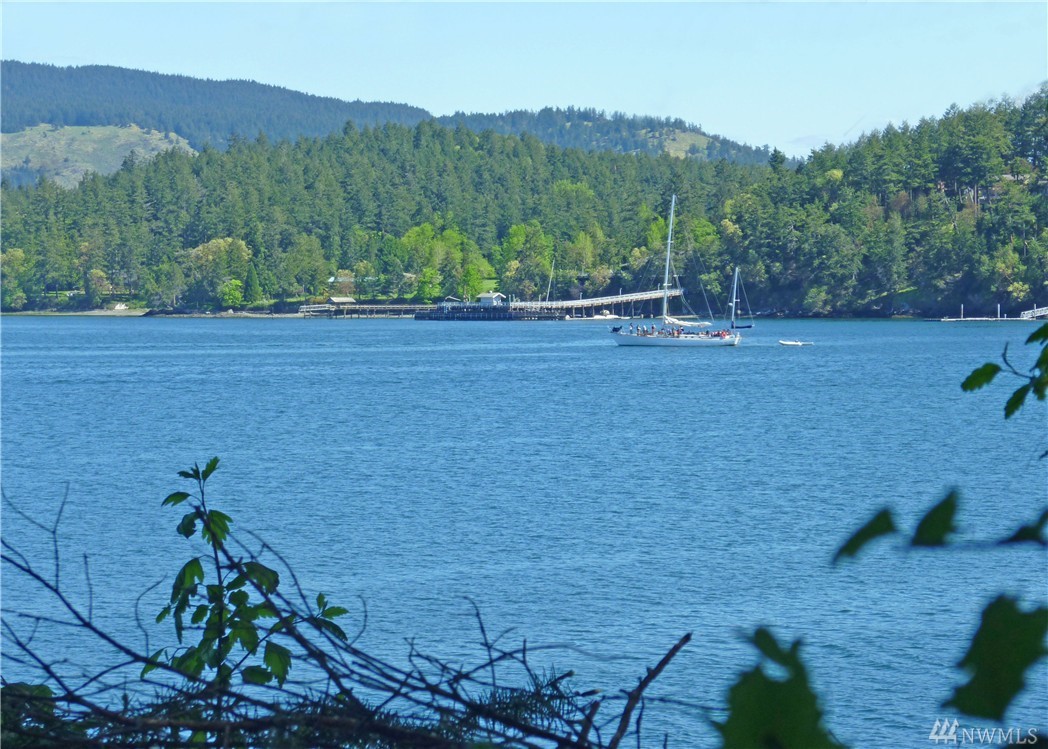 52 Dock Rd Unit  Crane Island WA 98243