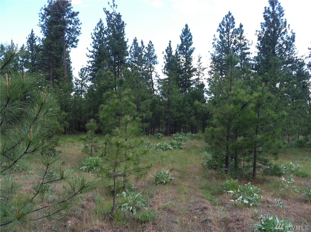 Highway 291 Tumtum WA 99034