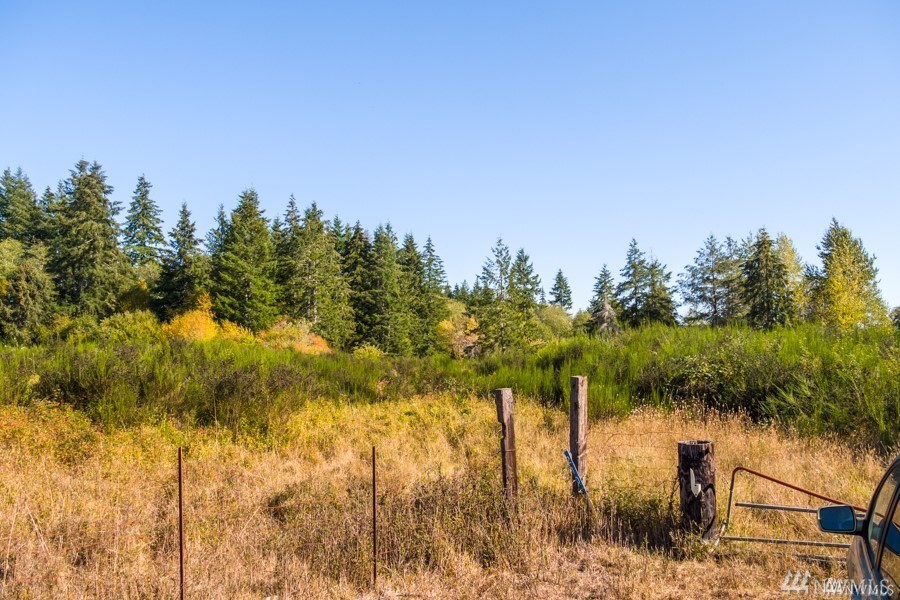 201 W Doggone Ln Matlock WA 98560