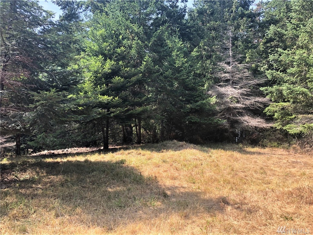 72 Center Island Unit  Center Island WA 98221