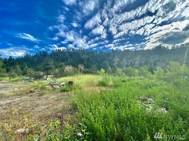 8901 Josephine Ave Dryden WA 98821