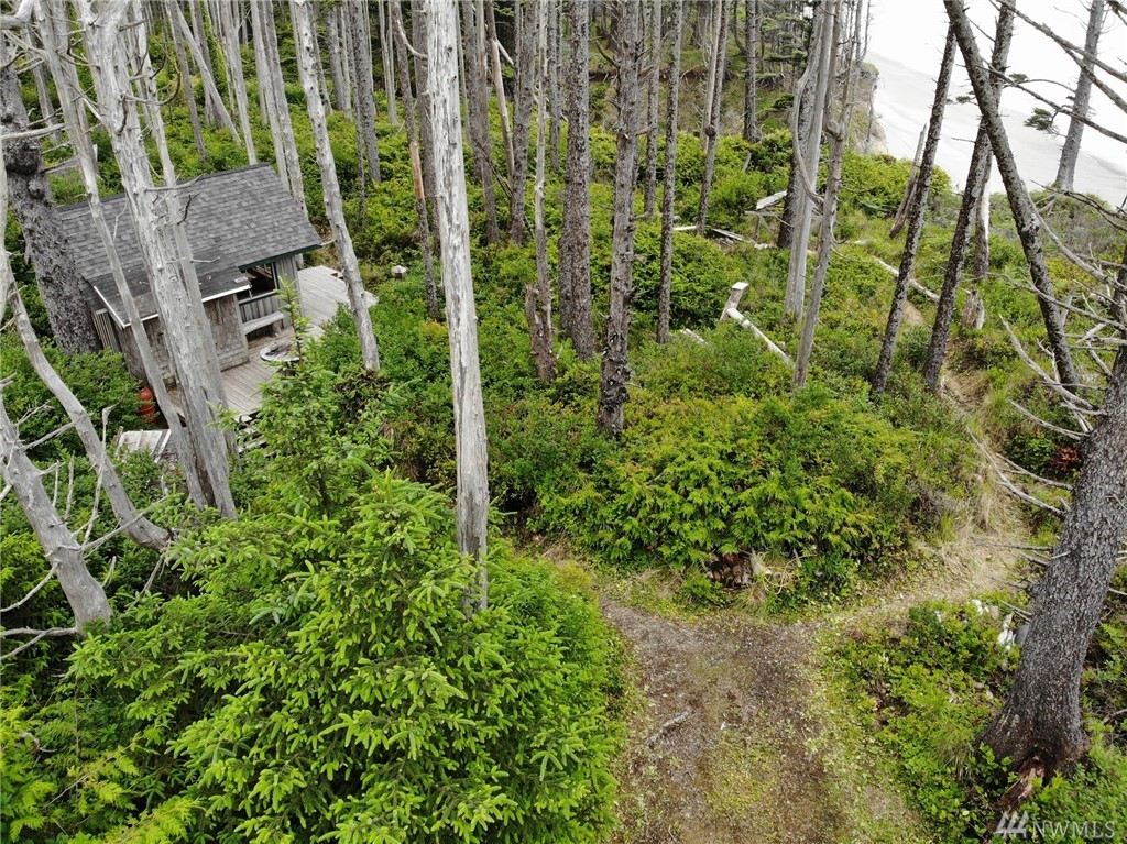 999 Cape Elizabeth Rd Unit  Quinault WA 98575